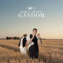 آهنگ جدید مسیح و آرش به نام گندم